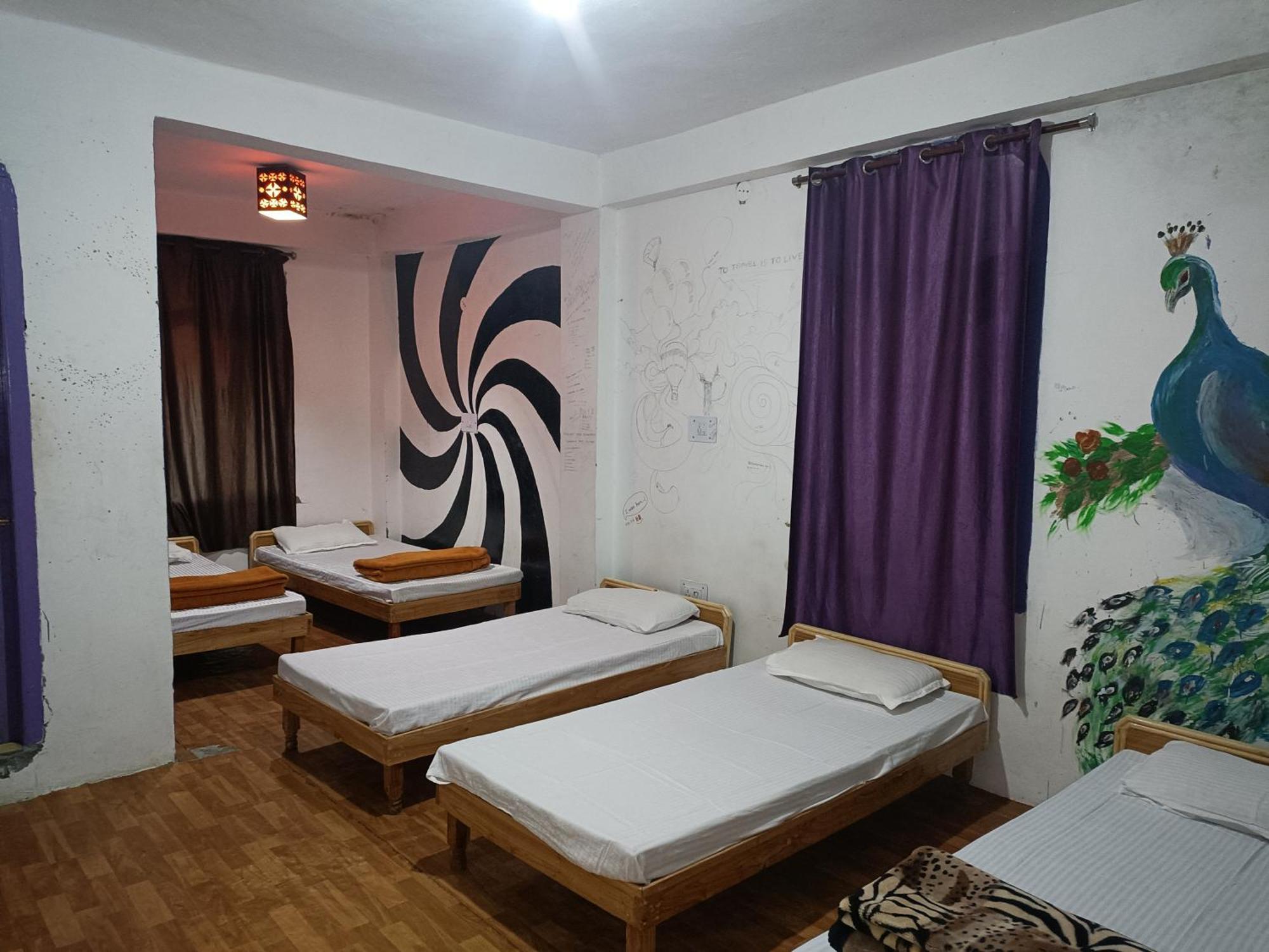 Nomadic Den Manali Hostel - Manali (Himachal Pradesh) — Photos 3