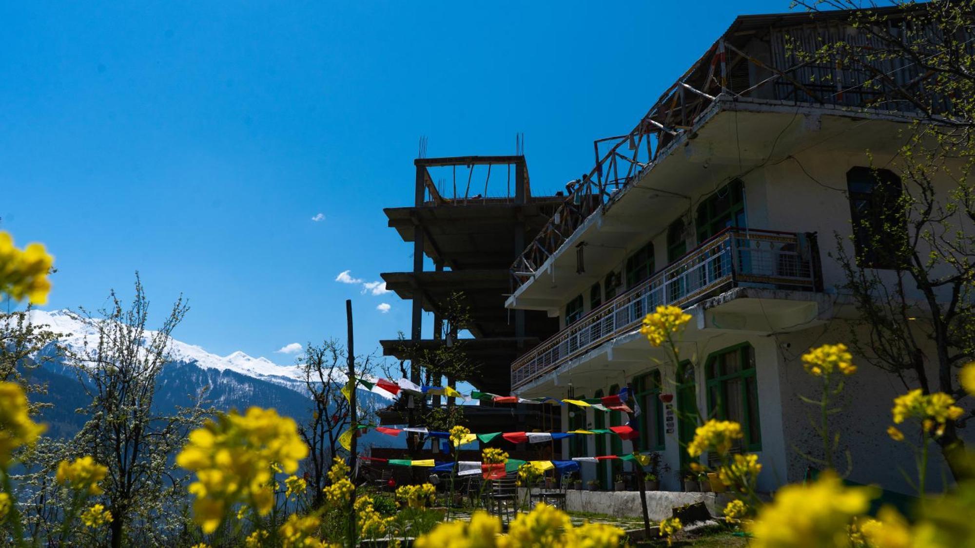 Nomadic Den Manali Hostel - Manali (Himachal Pradesh) — Photos 2