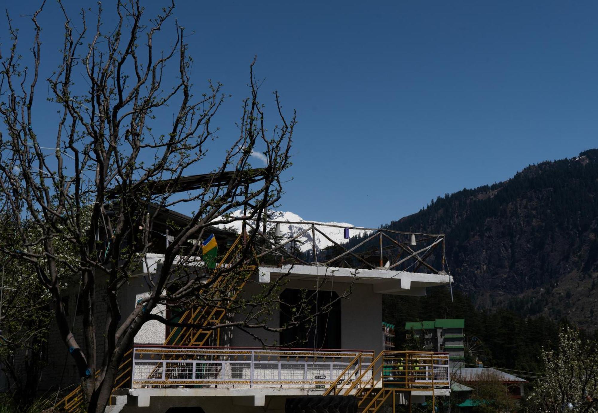 Nomadic Den Manali Hostel - Manali (Himachal Pradesh), Manali